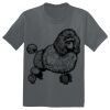 The Concert Tee ® Thumbnail
