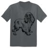 The Concert Tee ® Thumbnail