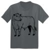 The Concert Tee ® Thumbnail