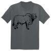 The Concert Tee ® Thumbnail