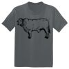 The Concert Tee ® Thumbnail