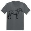 The Concert Tee ® Thumbnail