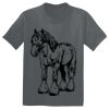 The Concert Tee ® Thumbnail