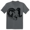 The Concert Tee ® Thumbnail