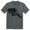 The Concert Tee ® Thumbnail