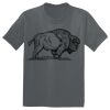 The Concert Tee ® Thumbnail