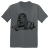 The Concert Tee ® Thumbnail