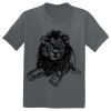 The Concert Tee ® Thumbnail