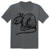 The Concert Tee ® Thumbnail