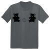 The Concert Tee ® Thumbnail