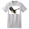 Beefy T ® 100% Cotton T Shirt Thumbnail