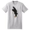 Beefy T ® 100% Cotton T Shirt Thumbnail