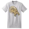 Beefy T ® 100% Cotton T Shirt Thumbnail