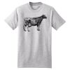 Beefy T ® 100% Cotton T Shirt Thumbnail