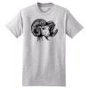 Beefy T ® 100% Cotton T Shirt Thumbnail
