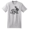 Beefy T ® 100% Cotton T Shirt Thumbnail