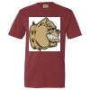 Unisex Garment-Dyed Lightweight T-Shirt Thumbnail