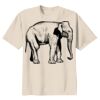 Youth Heavy Cotton 100% Cotton T Shirt Thumbnail