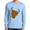 Ultra Cotton ® 100% US Cotton Long Sleeve T Shirt Thumbnail