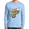 Ultra Cotton ® 100% US Cotton Long Sleeve T Shirt Thumbnail