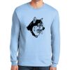 Ultra Cotton ® 100% US Cotton Long Sleeve T Shirt Thumbnail