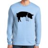 Ultra Cotton ® 100% US Cotton Long Sleeve T Shirt Thumbnail