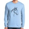 Ultra Cotton ® 100% US Cotton Long Sleeve T Shirt Thumbnail