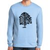 Ultra Cotton ® 100% US Cotton Long Sleeve T Shirt Thumbnail